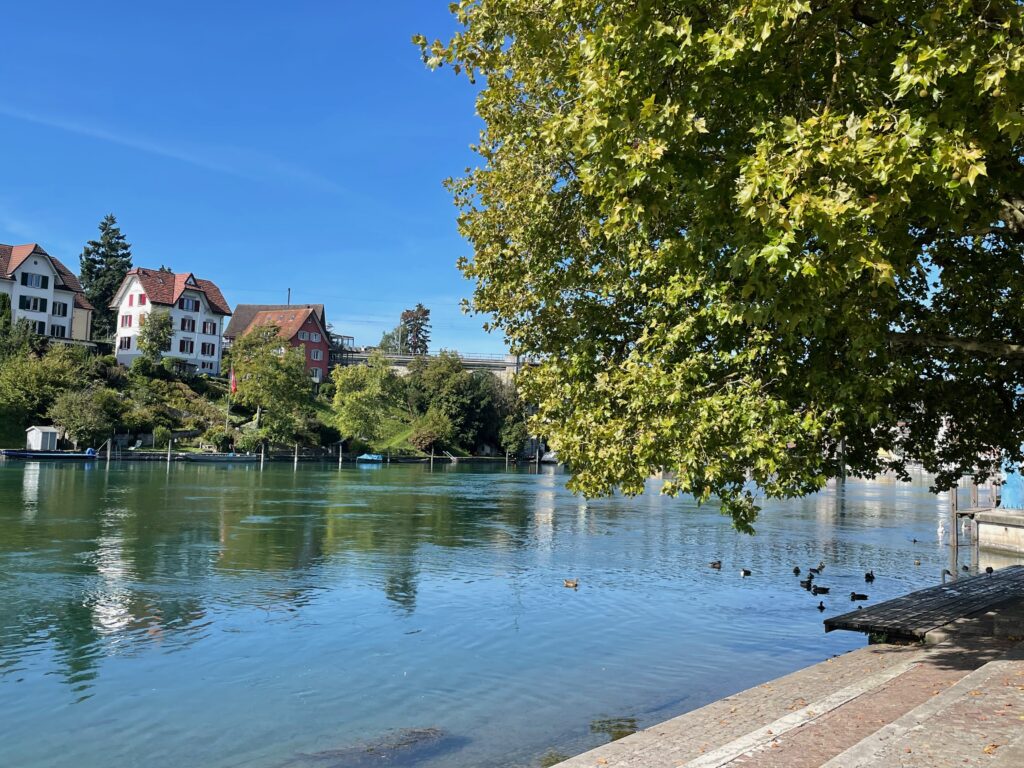 Wandern am Rhein entlang, deutsche Seite