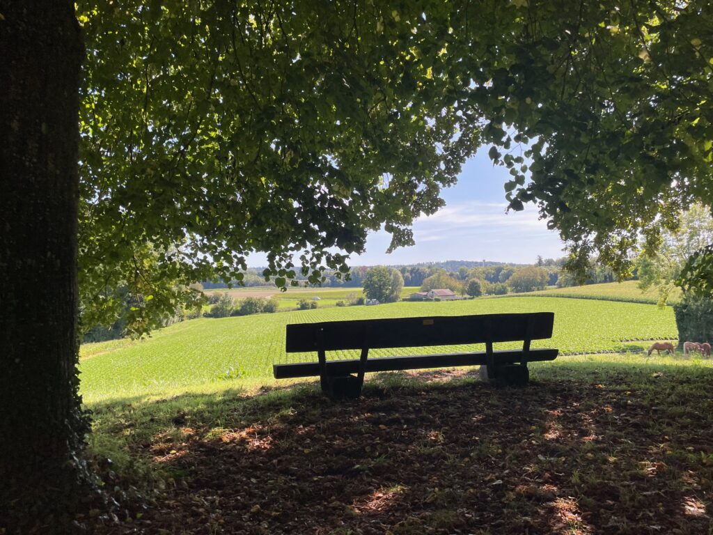Pausenplatz