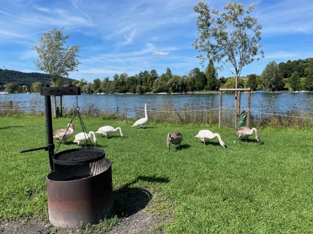 ungebetene Gäste