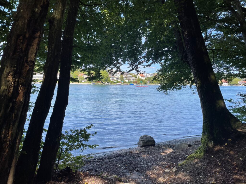 Aussicht vom Grillierplatz